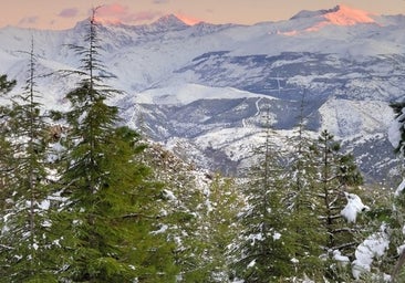 La Sierra de Huétor, un paraíso natural a 20 kilómetros de Granada