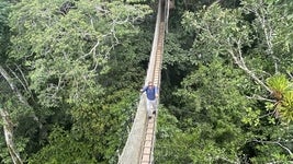 A 40 m de altura: así es el puente colgante más espectacular de la Amazonia