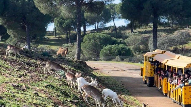 Tour por la reserva del Castillo de Las Guardas en Sevilla.