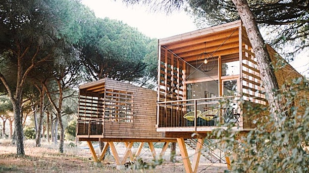 Casa árbol de «miCielo»