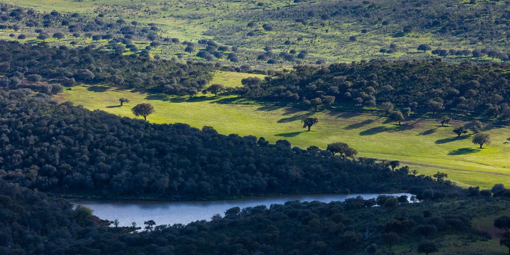 La maravillosa sierra extremeña del corcho y sus dólmenes