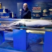 La villa asturiana donde aprender de la vida y de los asombrosos calamares gigantes