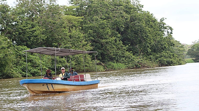 El río Frío, un paraíso de la vida salvaje en Costa Rica