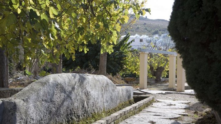 Otro detalle del jardín