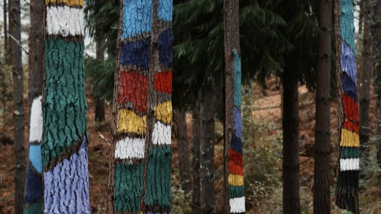 El nuevo Bosque de Oma, en Kortezubi, Vizcaya