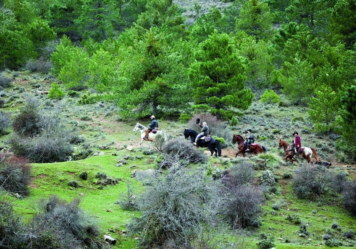 El Parque Natural de la Sierra de Baza cuenta con lugares con una importante valía desde el punto de vista medioambiental