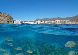 Las islas de Andalucía que tienes que visitar en 2024: ¿dónde se encuentran y cómo llegar?