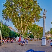 A todo color: Siete lugares de Sevilla y la provincia donde ver la floración de la primavera