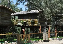Casas del árbol en Andalucía: cuatro ofertas por las diferentes provincias y mejores precios
