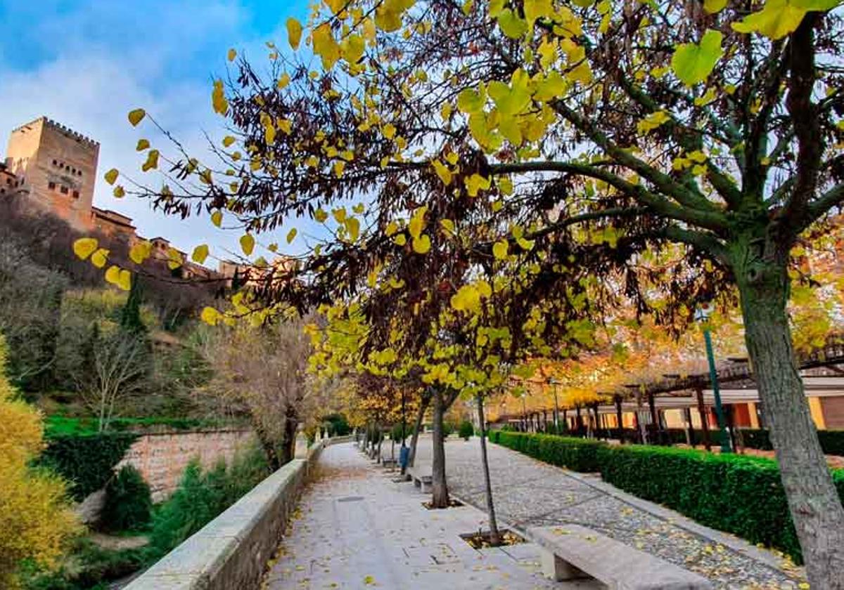 Paseo de los Tristes en Granada
