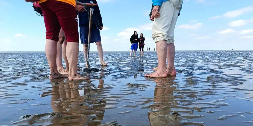 El sorprendente espectáculo natural de caminar sobre el fondo del mar