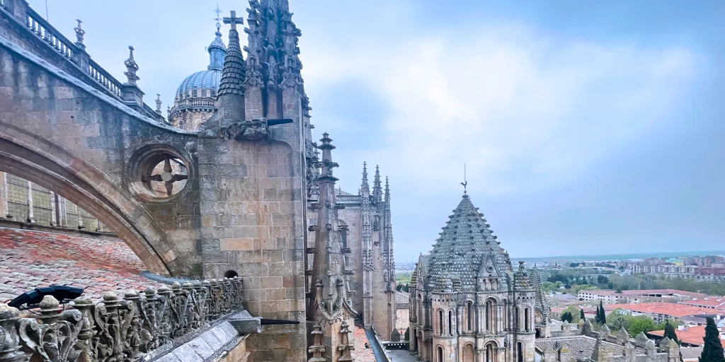 Qué se ve en los tejados de una de las catedrales más bonitas de España