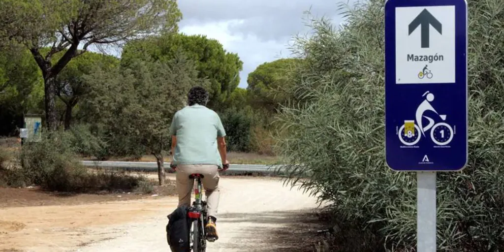 De Matalascañas a Mazagón en bicicleta, ruta en carril bici junto a las maravillas de Doñana