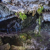 La cueva patrimonio de la humanidad que pueden visitar 30 personas al día