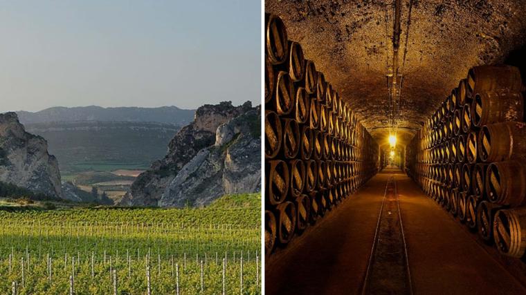 Un paisaje de viñedos y una bodega de Haro