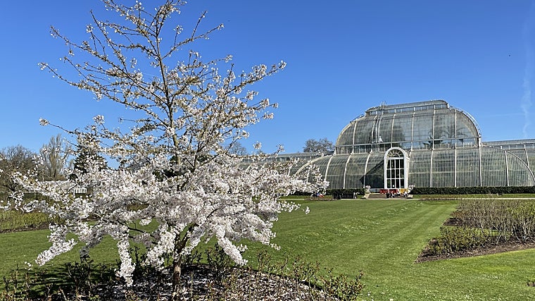 Primavera en Kew Gardens