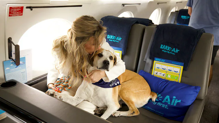 Cada animal puede llevar un acompañante humano, en caso de querer viajar más personas deben consultar con la aerolínea