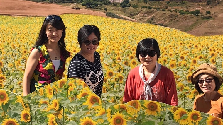 En Carmona incluso se han creado un curioso photocall para que los turistas puedan inmortalizarse ante estos campos ficticios