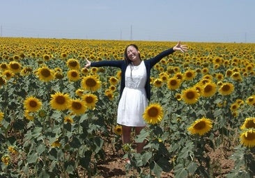 Girasoles en Carmona: cómo visitar los campos amarillos de Sevilla