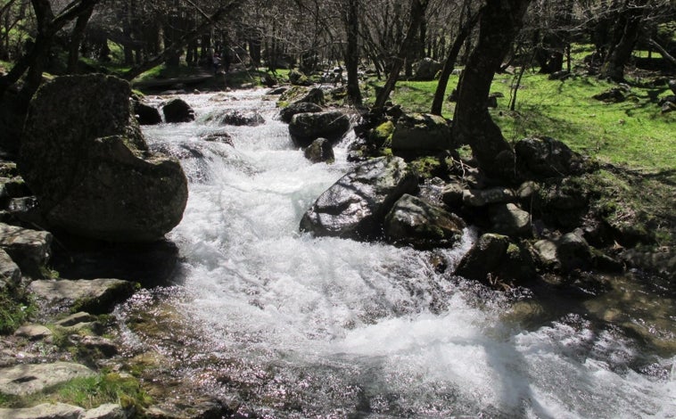 Imagen principal - Sobre estas líneas, una imagen de las piscinas naturales de las Presillas. A la derecha, la cascada del Purgatorio. En la foto superior, un momento de la ruta, siempre junto al agua