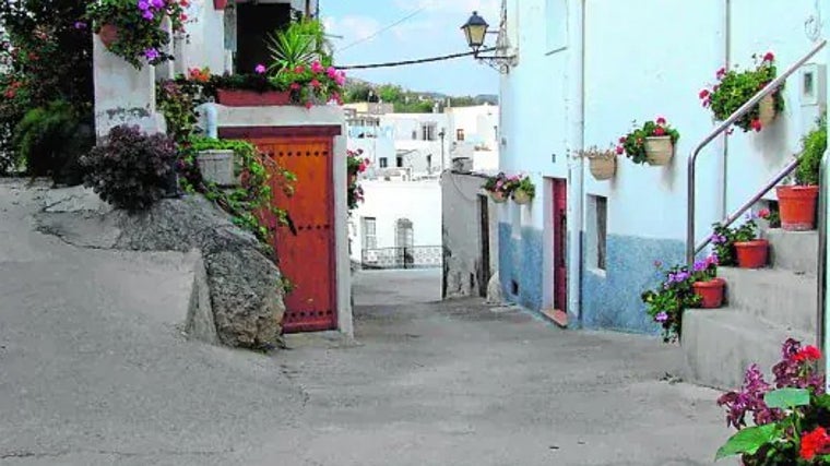 Las flores están presentes en las calles de Lucainena de las Torres