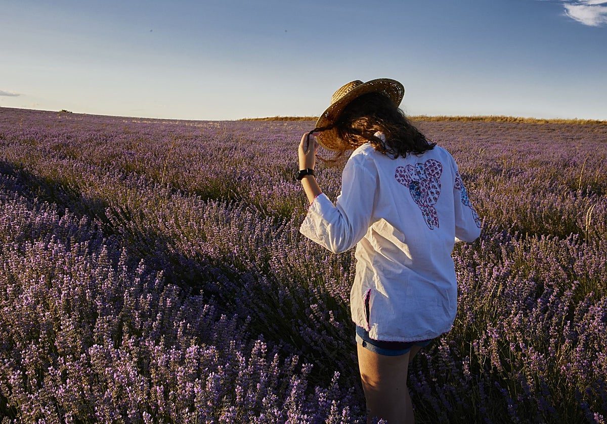 Un pequeño pueblo de Valladolid donde los campos de lavanda son un espectáculo
