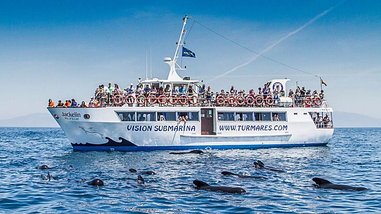 Las excursiones duran entre dos y tres horas y están indicadas para todo tipo de públicos