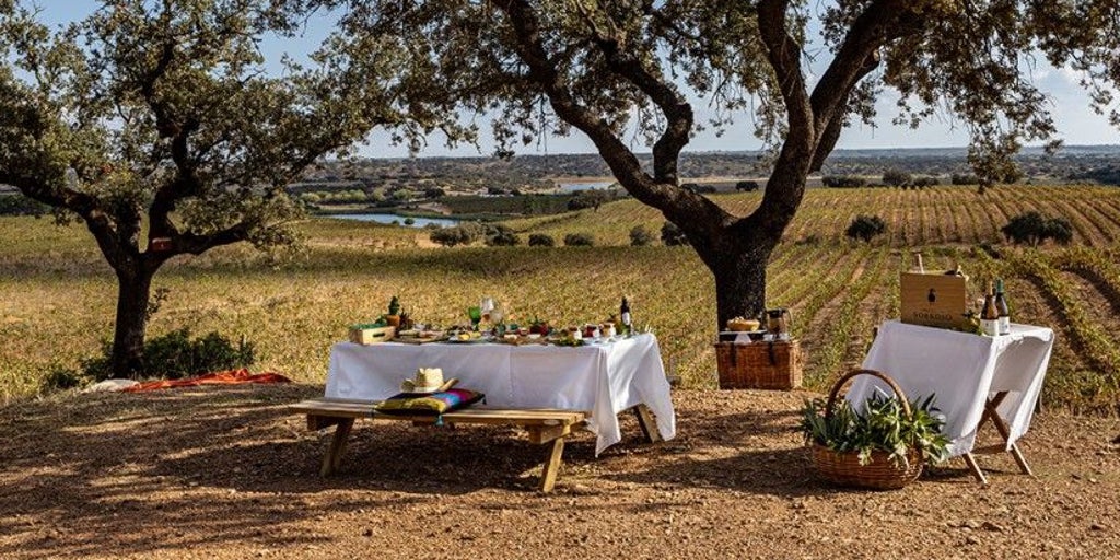 Viaje enoturístico al Alentejo, el paraíso portugués que muy pocos andaluces conocen