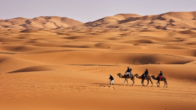 Una caravana de dromedarios atraviesa el campo de dunas de Erg Chebbi