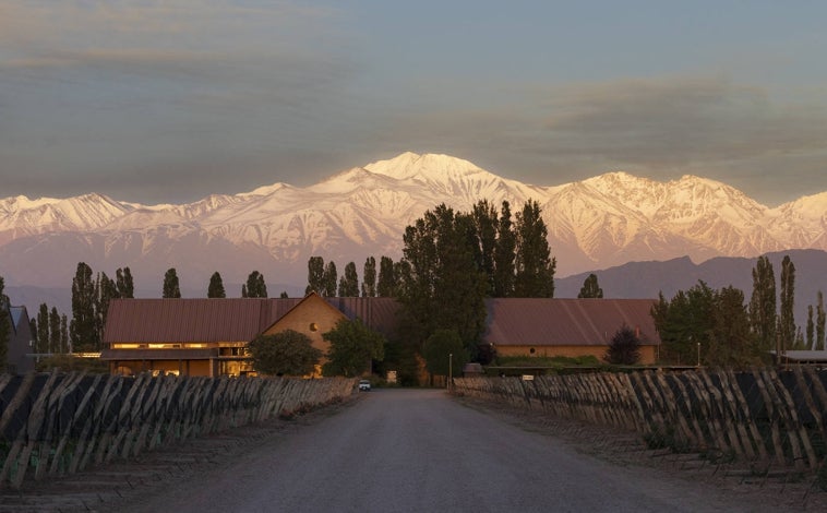 Imagen principal - La bodega y el hotel boutique de Susana Balbo; paseos a caballo entre viñedos.
