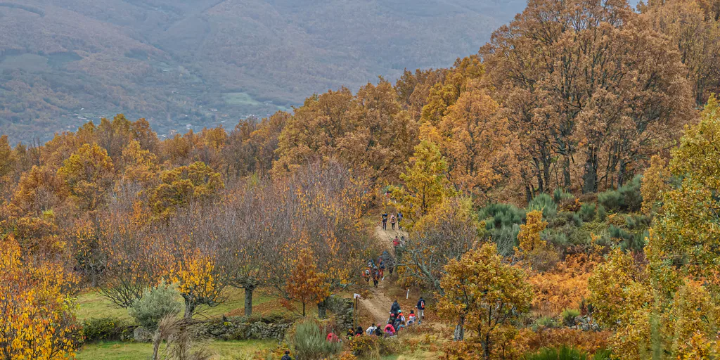 Un precioso valle extremeño tiene una nueva fiesta de Interés Turístico Internacional