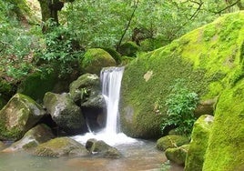 El mágico poblado de la Sierra de Málaga que esconde cabañas entre naturaleza