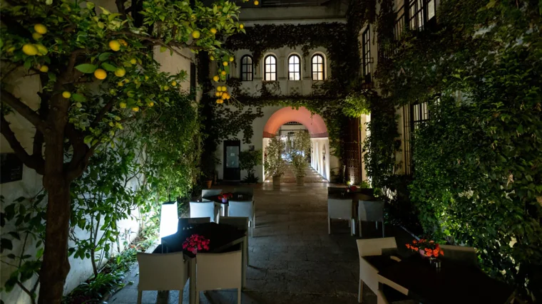 El hotel cuenta con un patio repleto de naranjos donde se respira un agradable ambiente