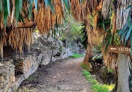 El bosque encantado de Córdoba que parece sacado de un cuento de hadas