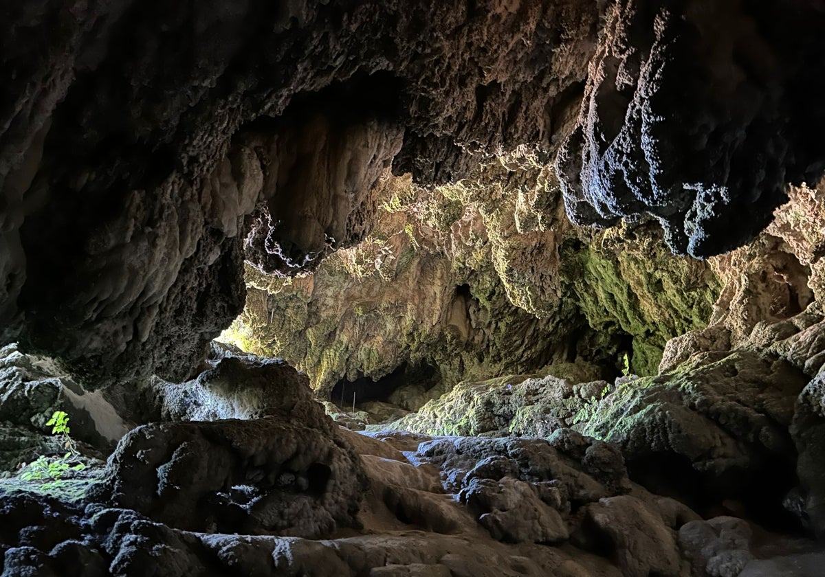 Una de las impresionantes cuevas del jardín vertical