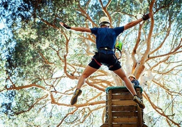 Puenting, tirolinas y escalada: así es el bosque colgante de Málaga que casi nadie conoce