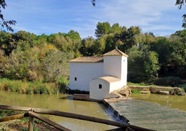 La tierra del pan y las tortas y una ruta de molinos a la que se llega por un puente con un dragón