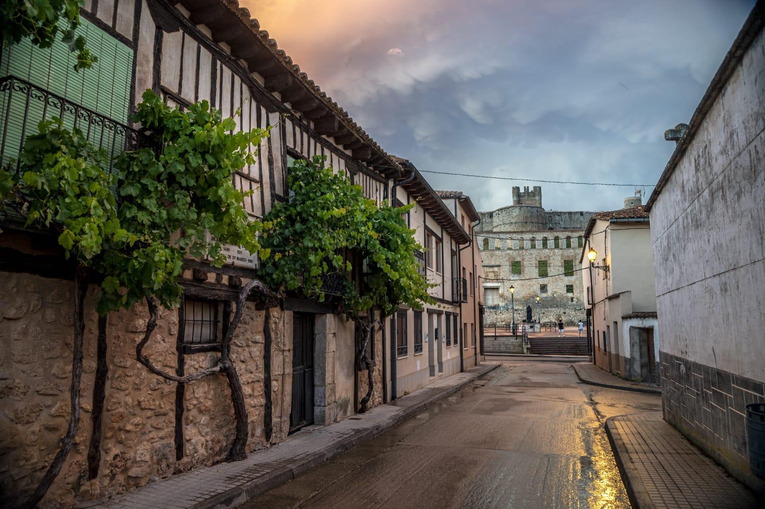 Berlanga de Duero (Soria), declarado Conjunto Histórico Artístico, es un pueblo con un castillo medieval, con su espectacular Torre del Homenaje, que pudo tener origen en el siglo X aunque fue reconstruido en el XV, y una gran iglesia renacentista, Santa María, del XVI. Primero celtíbera y luego romana, fue una importante ciudad fronteriza en la Alta Edad Media. Tiene además un palacio renacentista y uno de los mejores rollos góticos (la picota de Berlanga, de finales del XV) de la provincia. Los rollos son columnas de piedra, normalmente rematadas por una cruz o una bola.