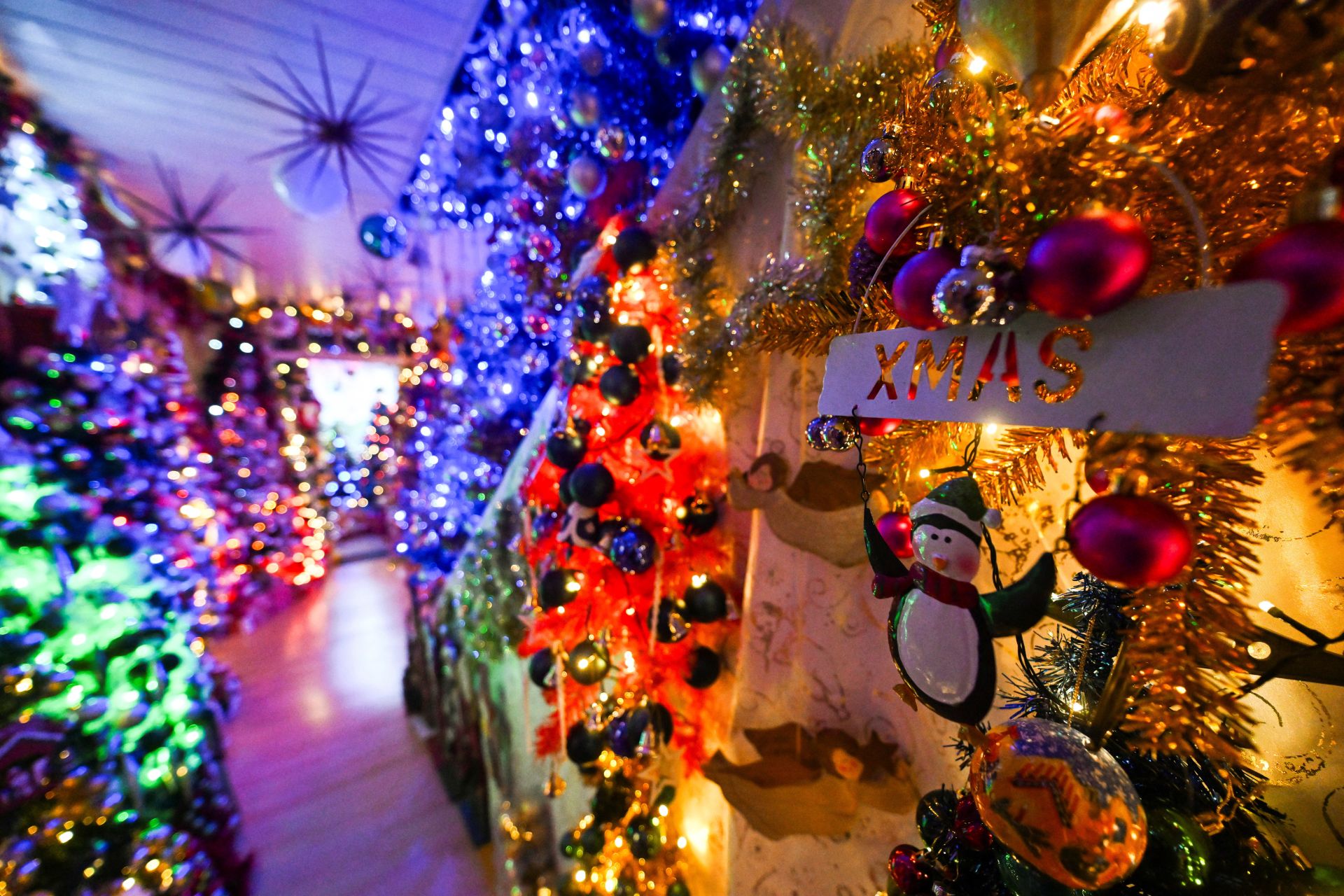 La casa de los Jeromin, también llamada por los visitantes “Winterwonderland Volksen”, tiene 180 metros cuadrados y atrae a familias de toda Alemania que admiran el esfuerzo de esta familia.