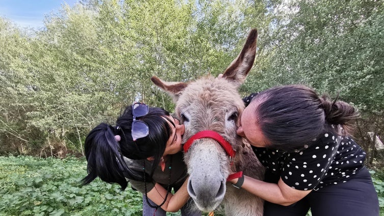 La granja a solo 30 minutos de Sevilla donde puedes conocer burros y pasar un día con ellos