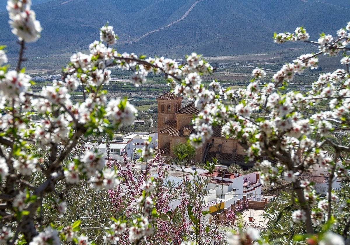 Vista de Laujar de Andarax