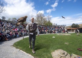 Exhibición de vuelo de rapaces en Sendaviva