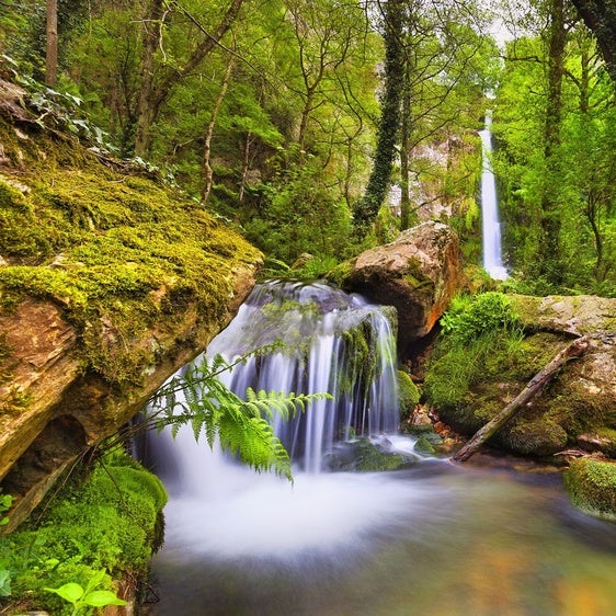 Cascada La Firbia