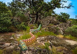 El Bosque de To, así es el primer museo de mitología extremeña al aire libre