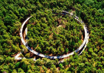 La espectacular ruta ciclista que pasa entre las copas de los árboles