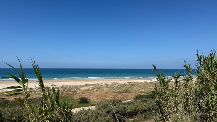 Imagen de la playa de la Fontanilla