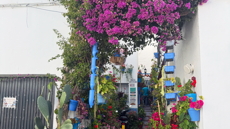 Vivenda del barrio de los pescadores decorada con flores