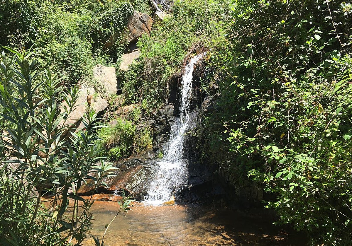 Este lugar recupera su espectacular imagen después de una larga temporada de lluvias