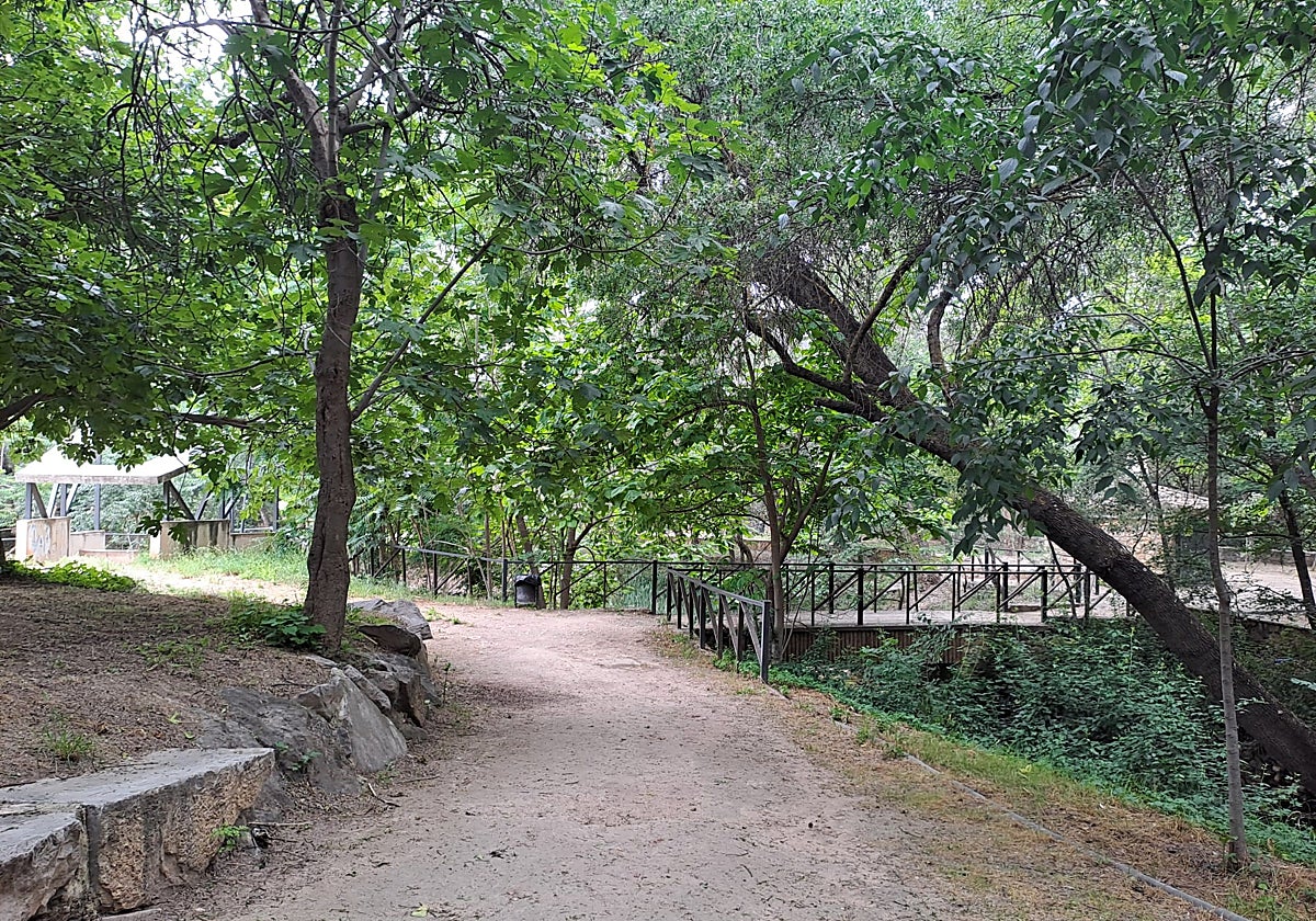 El parque está lleno de sauces, olmos y álamos que le dan frescor y sombra todo el año