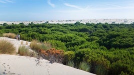 Las únicas dunas móviles de Europa están en Andalucía y puedes subirte a ellas